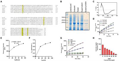 EphH, a unique epoxide hydrolase encoded by Rv3338 is involved in the survival of Mycobacterium tuberculosis under in vitro stress and vacuolar pH-induced changes